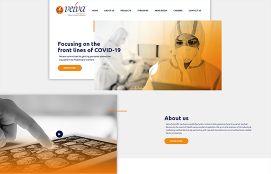 Client of CreativeWebo Veiva Scientific for Website development